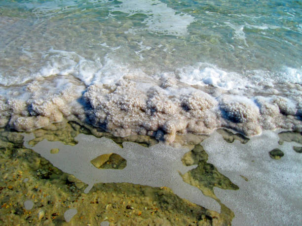 Image 10