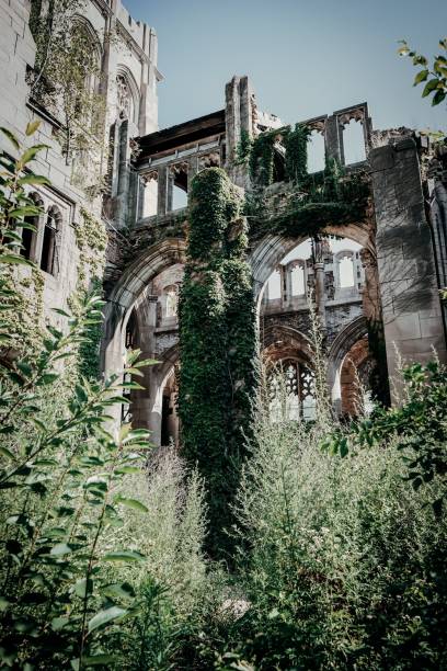 Image 8