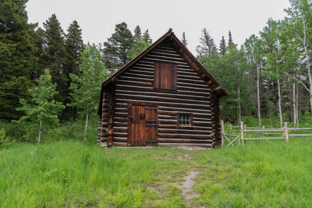 Image 10