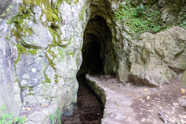 Image 8