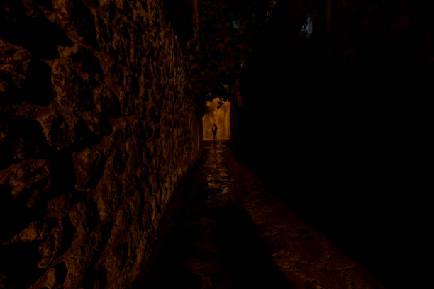 Image 10