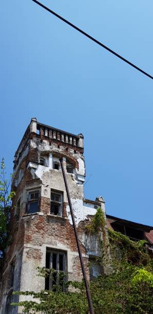 Image 6