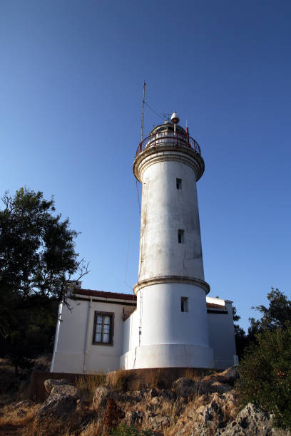 Image 9