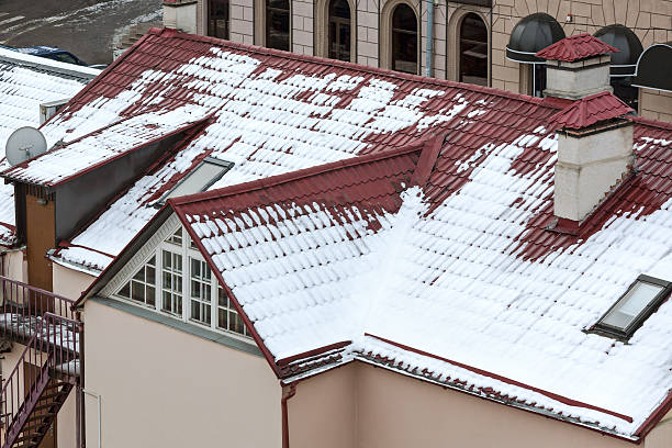Image 9